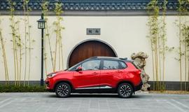 理念,哪吒汽車,遠程